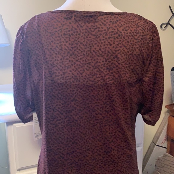 Apt 9 brown short sleeved top with Cami under it - Picture 6 of 11